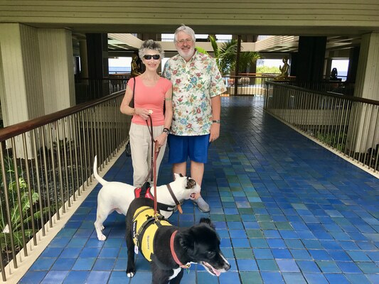 Barney and Mana, Hawaii Island
Hawaii Island, 4 June 2017.
Keywords: barney;mana;border collie;bull terrier;hawaii island;big island
