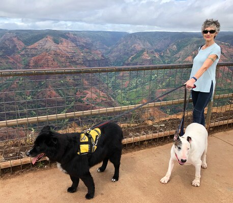 Barney and Mana at Waimea Canyon
Waimea Canyon, Kauai, 30 June 2018.
Keywords: barney;mana;border collie;bull terrier;kauai;waimea canyon