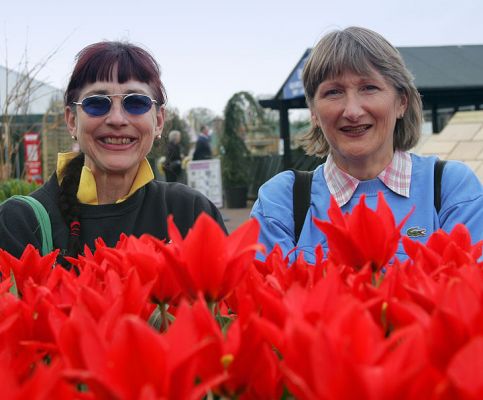 Marjorie and Cathy and Tulips
Webb's of Wychbold, April 22 2005
Keywords: tulips Marjorie Cathy Webb's of Wychbold garden centre
