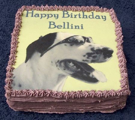 Bellini's Cake
We were sent a black and white photograph of Bellini in cool shades.  We replaced the background on the photo with a yellow background.
Mots-clés: Bellini birthday cake