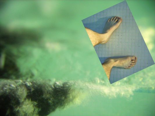 Christopher Testing the Underwater Camera on His Feet
Christopher took an underwater photograph of his feet.  The larger image is an underwater photo of Ronan swimming --- pretty powerful paws.  (Ronan's paws, not Christopher's.)
Mots-clés: Christopher feet Ronan swimming paws Ritz Canine