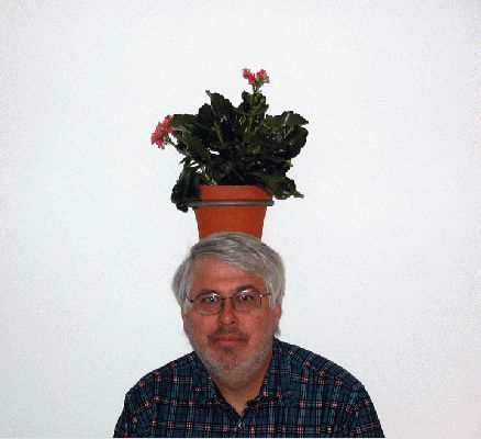Craig in London
Why did our very white hotel room have plants on the wall?  Or do I have a hidden talent for balancing?
