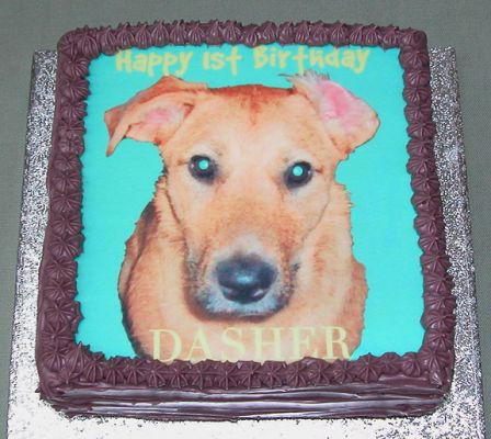 Dasher
Dasher had such blue/green eyes, we thought it would look good to use the same background colour on his birthday cake.
Avainsanat: Dasher, dog birthday cake, doggie cake