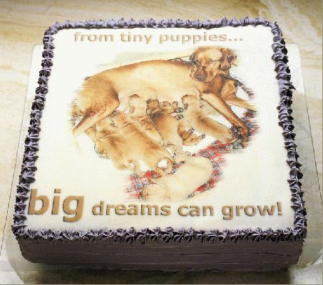 dogcake-1.jpg