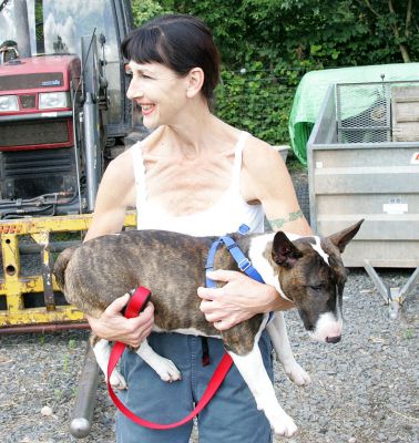Gucci Being Given The Royal Treatement
As Gucci didn't wish to walk to the car, she was given the royal treatment.  She was quite happy to be in the car -- I think she didn't want to go on a second walk this morning, after having her first walk of the day.
Avainsanat: Gucci hand-carry English bull terrier walk exercise dog hotel Lucies Farm dog kennel