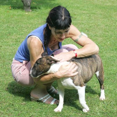 Gucci Receiving A Cuddle from Marjorie
Ключові слова: Gucci cuddle minature English bull terrier Marjorie Lucies Farm dog hotel dog resort dog kennel