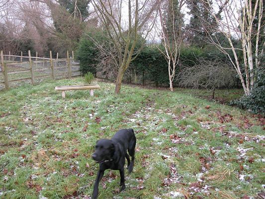 Here They Go . . .
Missed one -- shutter didn't click fast enough.
Mots-clés: dogs, Lucies Farm, running dogs