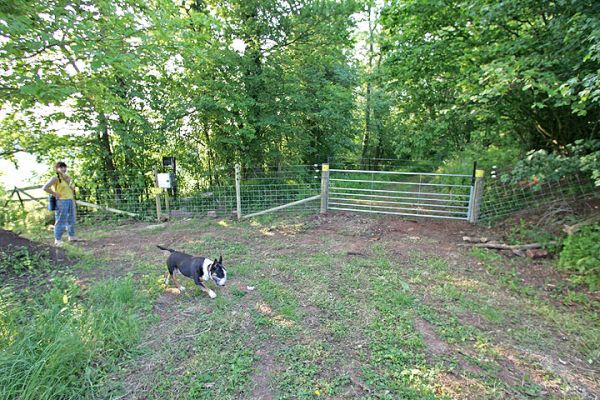 New Lord's Wood Gate
Some neighbours objected to our green burial planning application because they thought --- incorrectly --- that Lord's Wood was some sort of community "amenity."  It is, in fact, our private property, and contains no public footpaths.  To demonstrate this, we have reluctantly put up an electric fence and gate at the entrance.
Keywords: electric fence gate Lord's Wood green burial