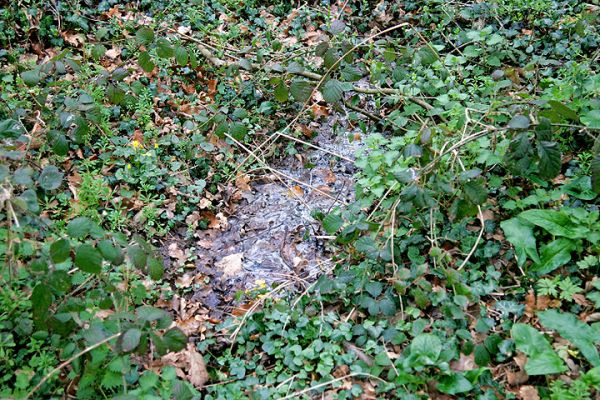 Lord's Wood Sewage Problem
Unfortunately, Lord's Wood Cottage (not under our ownership) is draining unprocessed sewage into Lord's Wood.  This may have been the accepted practice in the past, but it crates a foul smell and health hazard just inside the woodland.  We are working with the Malvern Hills District Council to remedy this.
Keywords: Lord's Wood Malvern Hills District Council sewage prevention