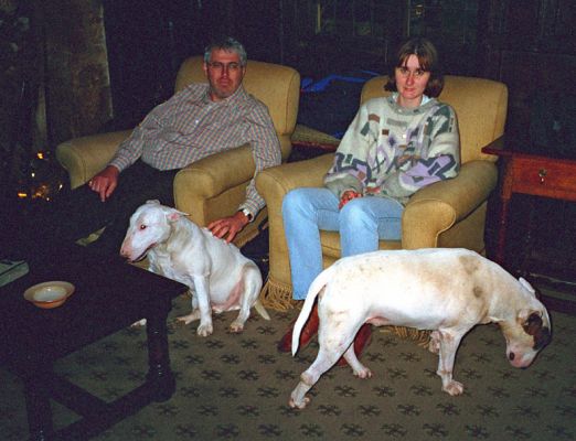 Afternoon Tea With Bull Terriers
Kea and Pau enjoying afternoon tea at the Lygon Arms in Broadway, along with Sarah Heward and me, circa 1996.  Excuse the bad exposure --- I've done what I can to fix this up in Photoshop.  We look so unhappy!
Keywords: Sarah Heward Craig Walsh Kea Pau bull terriers Lygon Arms Broadway afternoon tea