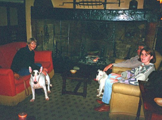 Afternoon Tea With Bull Terriers
Cathy (with Pau) and Sarah and me (with Kea) at afternoon tea at the Lygon Arms in Broadway, circa 1996.
Avainsanat: Cathy Busbhy Sarah Heward afternoon tea Kea Pau Lygon Arms Broadway Cotswolds