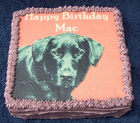 Mac's Cake
Mac lives on the Isle of Man.
