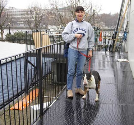 Marjorie and Tapa on a Balcony at the London Television Centre
At the studio to do a "pampered pooch" piece for ITV's "This Morning" programme.  Marjorie and Tapa taking a short break on the porch, with the Thames in the (wet) background.
Λέξεις-κλειδιά: Marjorie Tapa English bull terrier ITV This Morning London Television Centre Thames