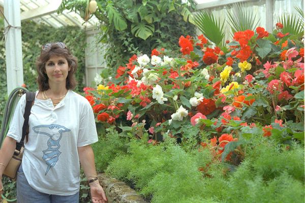 Marjorie in Greenhouses -- Wanganui, New Zealand
Trefwoorden: Marjorie greenhouse flowers Wanganui New Zealand
