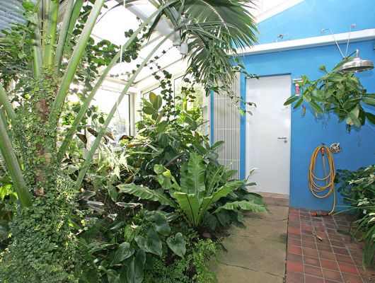 The Orchid House
It's a cold autumn day outdoors, but in the Whitecroft orchid house it's always summer.  That's our indoor (outdoor?) shower on the right, with a shower head like the Savoy Hotel.  The shower head is currently holding our insect-eating plant:  Emilia has taken great care of it, and it's becoming the Triffid.
Keywords: Whitecroft orchid house insect eating plant Savoy Hotel autum palm blue