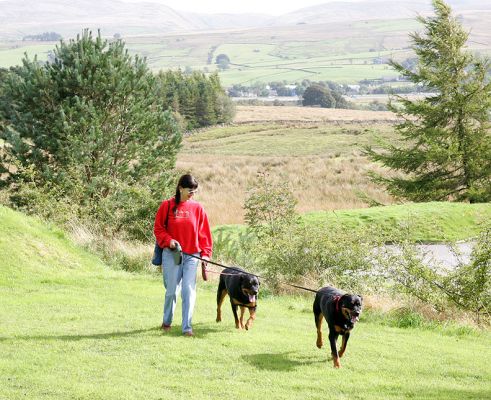 Missy and Ronan
At the back of the Westmorland Motorway Services on the M6, with the most gorgeous views of the countryside in the Lake District.
Palabras clave: Missy Ronan Rottweiler Westmorland Motorway Services Lake District dog England Lucies Farm