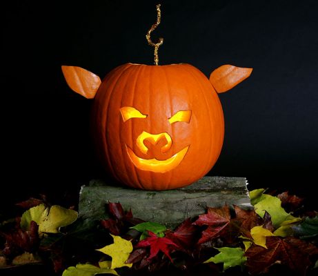 Happy Halloween from the Pigs
We wanted a photo of a pig pumpkin for an e-mail newsletter.  Couldn't find one with any of the stock agencies, so decided we had to try to create a pig pumpkin oursleves.  Having never carved a pumpkin before, this was an interesting challenge.  But here it is.  Oink, oink!  And now we get pumpkin soup and pumpkin seeds....
Palabras clave: pig pumpkin Halloween carved pumpkin jack o'lantern