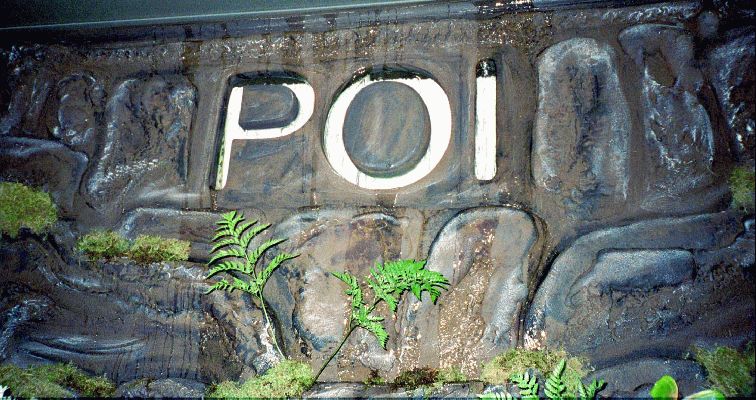 John Bushby's POI Waterfall
Food and New Product Show, Blaisdell Center
