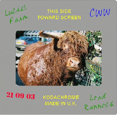 Lord Rannoch of Lucies
