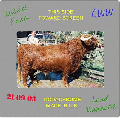 Lord Rannoch of Lucies
