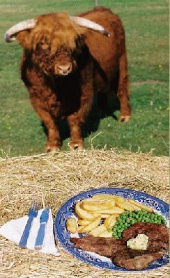 Lord Rannoch and Highland Steak Dinner
Λέξεις-κλειδιά: Highland Beef Lucies Farm