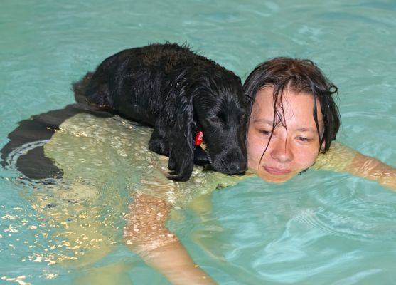 Elzbieta With Frankie On Her Back
Λέξεις-κλειδιά: Frankie Elzbieta swimming dog canine hydrotherapy cocker spaniel