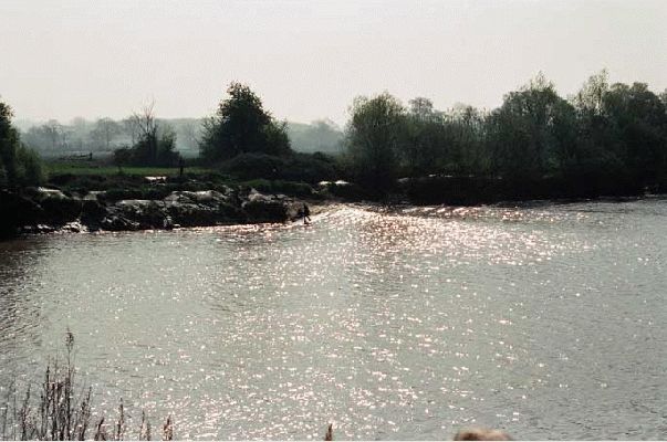 Severn Bore - 2003
We'd lived near the River Severn for a long time and had never seen the Severn Bore.  It's a big wave that comes up river usually once each month.  Customarily, only two of the annual bores are really big --- and this was one of them.  We had breakfast at (where else?) the Severn Bore Pub.
Mots-clés: Severn bore