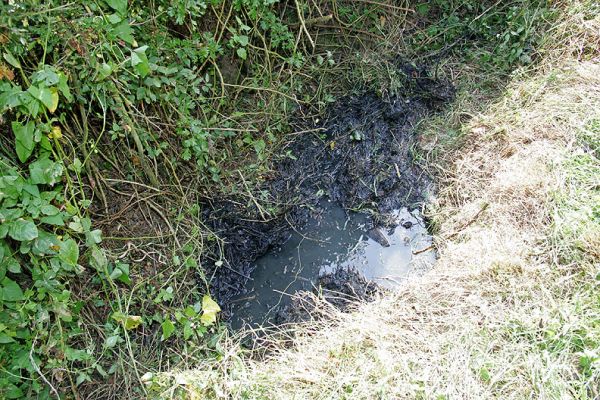 Raw Sewage - Woodman's Cottage
This raw sewage is coming out of a pipe on our property, adjacent to our track to Lord's Wood.  We believe it's coming from Woodman's Cottage, the only property in the area.
Schlüsselwörter: sewage Lord's Wood Woodman's Cottage track Malvern Hills District Council