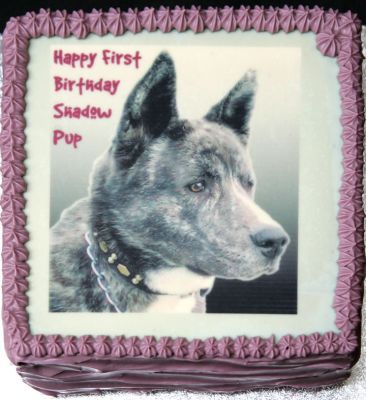 Shadow Pup
We were asked to provide a "masculine" background on this photograph.
Ключові слова: dog birthday cake masculine Lucies Farm