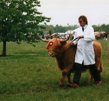 Steve Patch Showing a Highland Cow
Schlüsselwörter: Steve Patch showing Highlad cattle Highland cow