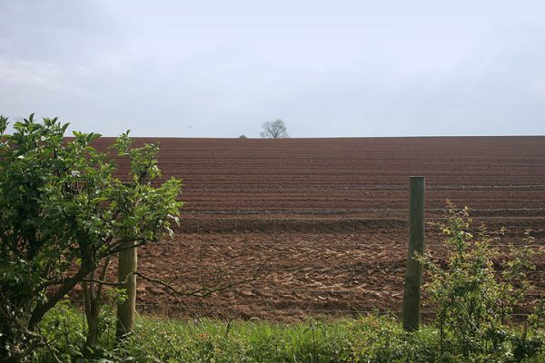 Worcestershire Countryside
On our way back from Tenbury Wells - May 2005
Keywords: Worcestershire countryside