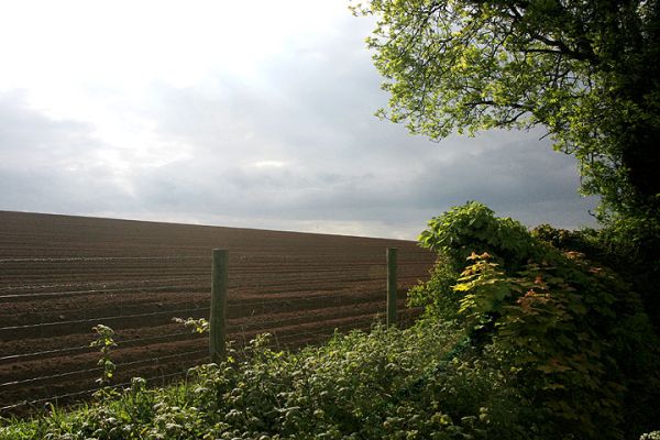 Worcestershire Countryside
Keywords: Worcestershire countryside