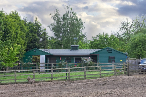 Whitecroft Stable Block at Sunset
A late spring evening, May 2007.  Can you see the pig weather vane?
Keywords: Whitecroft stable block spring evening pig weather vane