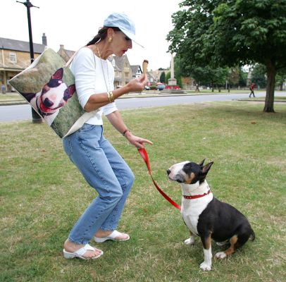 Tapa Waiting for His Ice Cream
Broadway, on a dreary English summer afternoon in late July 2005.
Keywords: Tapa Broadway Cotswolds ice cream Lucies Farm bull terrier Marjorie canvas bag photo bag