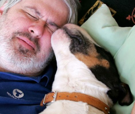 A Face That Only A Bull Terrier Could Love
Here's Tapa giving me a good lick on Saturday morning, February 12 2005
Mots-clés: Tapa, bull terrier, lick