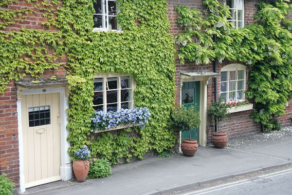 Near the St. Mary Church Cemetery
These inviting cottages look out over the St. Mary Church Cemetery, Tenbury Wells
Keywords: St. Mary Church Tenbury Wells cottages vines vine