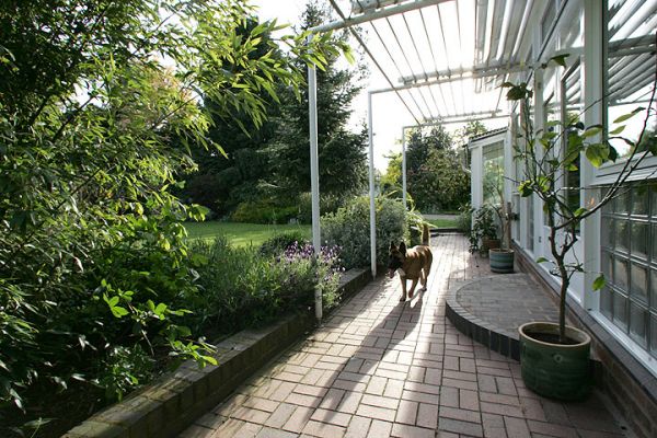 Tiny On Evening Patrol
The days are starting to lengthen and we're now getting a bit of sun.  Our lemon trees (on the right in the photograph) look a bit sad after their winter indoors.  Tiny doesn't seem to notice.
Palabras clave: Tiny German shepherd lemon tree Whitecroft garden dog hotel dog boarding Lucies Farm