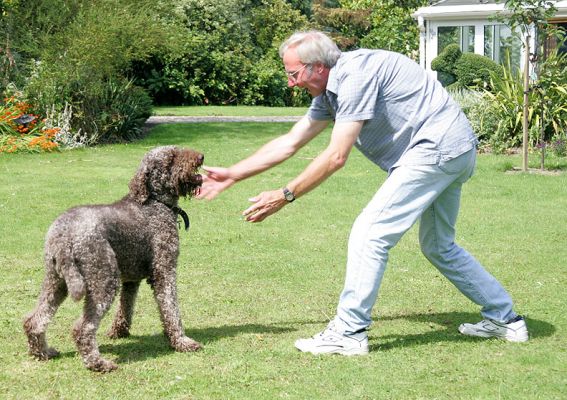 Elvis and Vic Playing
Keywords: Elvis French poodle dog Vic Scott dog hotel dog boarding dog kennel Lucies Farm