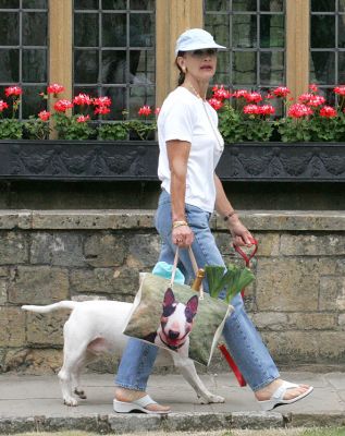 Marjorie Walking Kiko in Broadway
I like this photo.  I was about to discard it because Kiko's head is hidden, but then I noticed how Tapa's photo on the handbag really replaces Kiko's head.  Gave me a good laugh.  Photographed outside the Lygon Arms in Broadway, in the Cotswolds, in July 2005.
Ключевые слова: Marjorie Lygon Arms Broadway Cotswolds bull terrier Kiko Tapa canvas handbag Lucies Farm