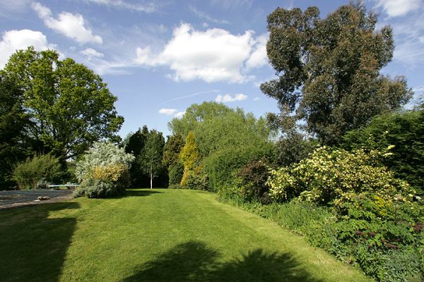Whitecroft Back Garden
I love it when it's sunny and warm.  This was taken in the afternoon of Sunday, May 15.  And it was warm.  You could almost hear the plants growing.
Schlüsselwörter: Whitecroft garden sun warm