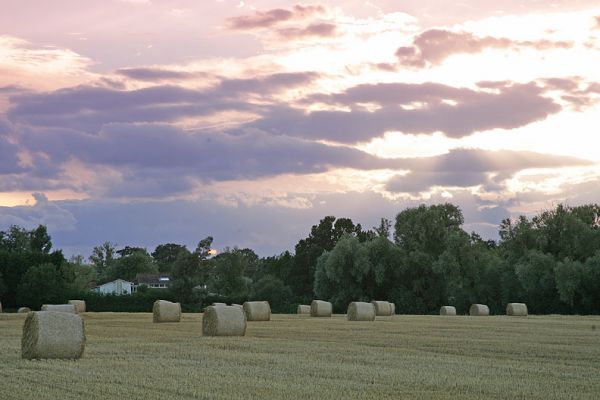 Whitecroft at Sunset
Ključne besede: Whitecroft summer sunset hay Lucies Farm