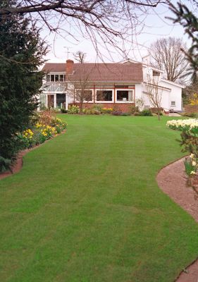 New Whitecroft Lawn
Anahtar kelimeler: Whitecroft lawn daffodils garden