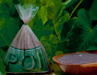 A Bag Of Poi
With a dish of poi on the side, and taro leaves in the background.
Anahtar kelimeler: poi bag taro leaves