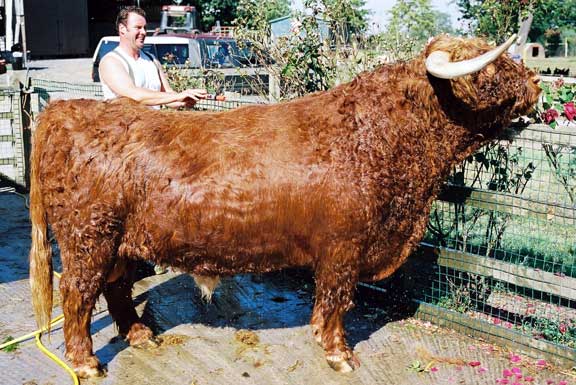 Lord Rannoch of Lucies - Bath time
Keywords: Lord Rannoch of Lucies