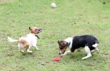 1-sally-jake7.jpg