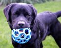 B-Otis-toy3.jpg