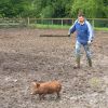Gregorz-and-Tamworth-Pig.jpg