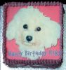 Roxy-Cake.jpg