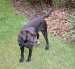 Tess-Jan29.jpg