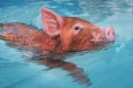 WATERBA3.jpg